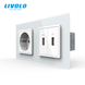 Розетка з заземленням з 2 USB розетками Livolo білий скло (VL-C7C1EU2USB-11) VL-C7C1EU2USB-11 фото 1